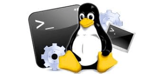 linux