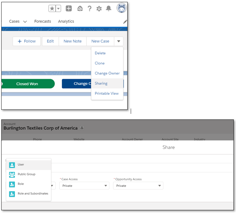 Salesforce record sharing