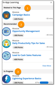 Salesforce In App Learning