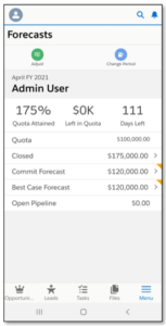 Salesforce Mobile Forecasts