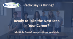 RadixBay Careers