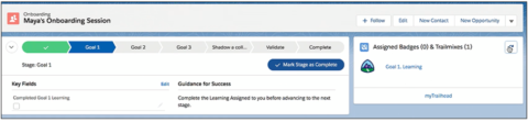 salesforce mytrailhead metrics