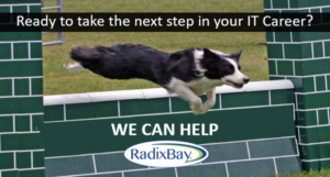 RadixBay IT Career Opportunities