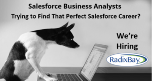 Salesforce Business Analysts