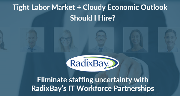 RadixBay IT Workforce Solutions